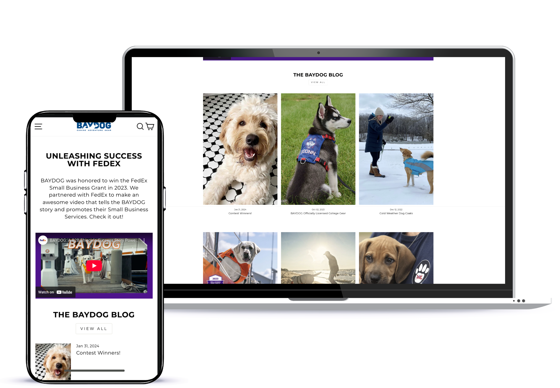 Baydog Launch